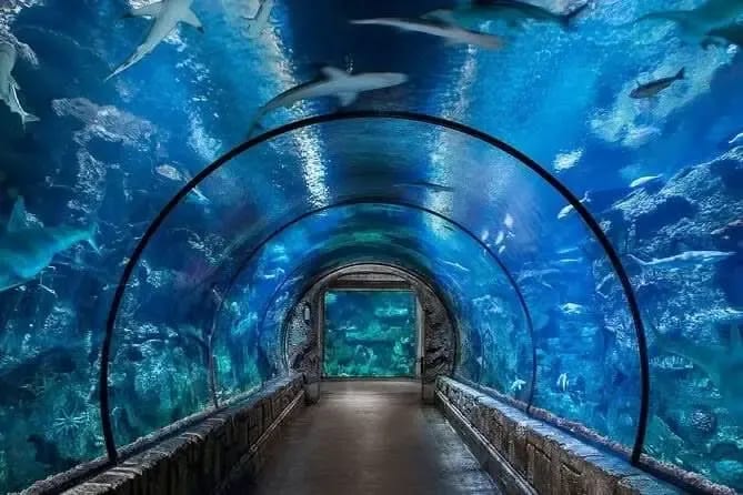 hurghada 
